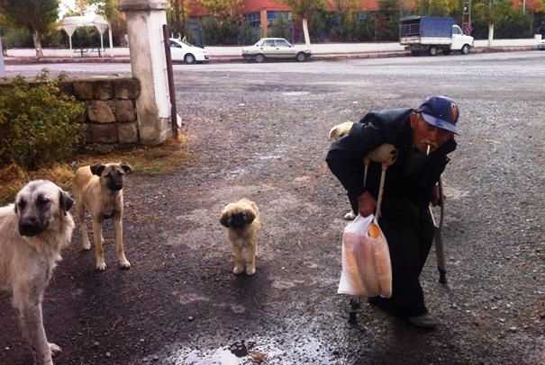 Engel Tanımayan Hayvan Sevgisi 